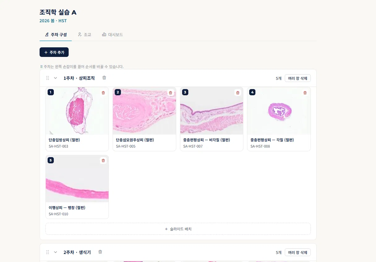 SlideAtlas LMS — 주차별 커리큘럼 구성 화면